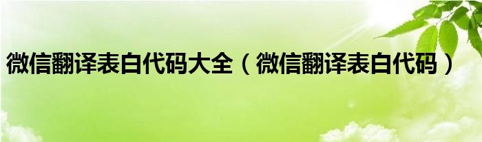 微信翻译表白代码(微信翻译表白代码大全)