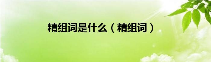 精组词(精组词是什么)