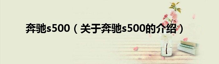 关于奔驰s500的介绍(奔驰s500)