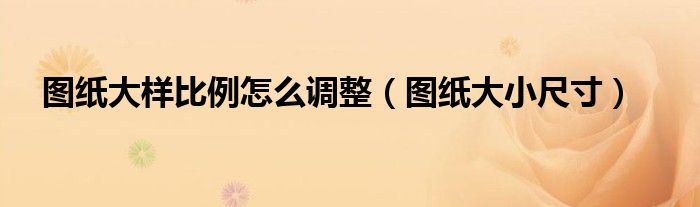 图纸大小尺寸(图纸大样比例怎么调整)