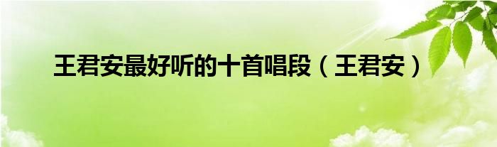 王君安(王君安最好听的十首唱段)