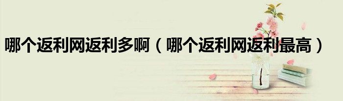 哪个返利网返利最高(哪个返利网返利多啊)
