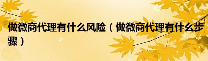 做微商代理有什么步骤(做微商代理有什么风险)