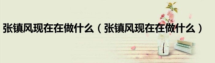 张镇风现在在做什么(张镇风现在在做什么)