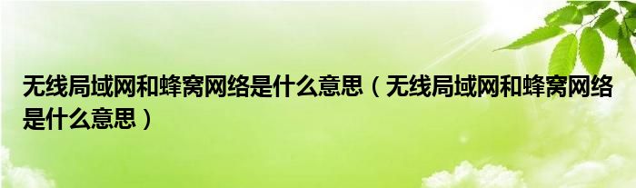 无线局域网和蜂窝网络是什么意思(无线局域网和蜂窝网络是什么意思)