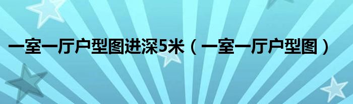 一室一厅户型图(一室一厅户型图进深5米)