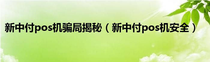新中付pos机安全(新中付pos机骗局揭秘)