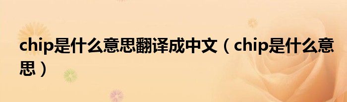 chip是什么意思(chip是什么意思翻译成中文)