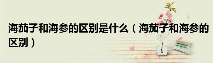 海茄子和海参的区别(海茄子和海参的区别是什么)