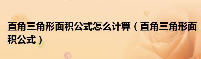 直角三角形面积公式(直角三角形面积公式怎么计算)