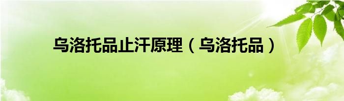 乌洛托品(乌洛托品止汗原理)