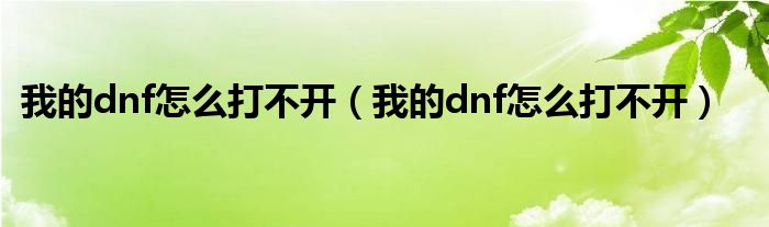 我的dnf怎么打不开(我的dnf怎么打不开)