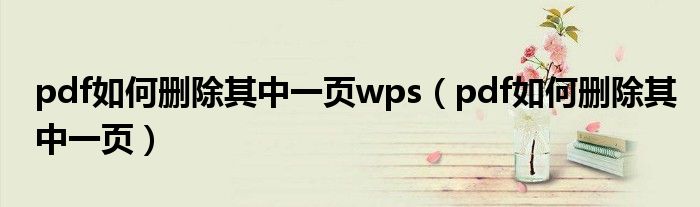 pdf如何删除其中一页(pdf如何删除其中一页wps)