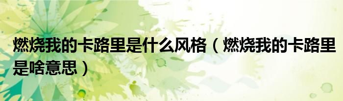 燃烧我的卡路里是啥意思(燃烧我的卡路里是什么风格)