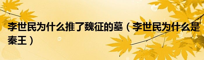 李世民为什么是秦王(李世民为什么推了魏征的墓)