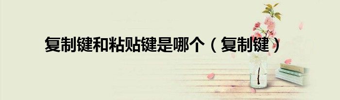复制键(复制键和粘贴键是哪个)