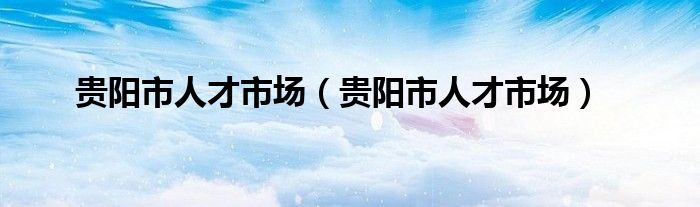 贵阳市人才市场(贵阳市人才市场)