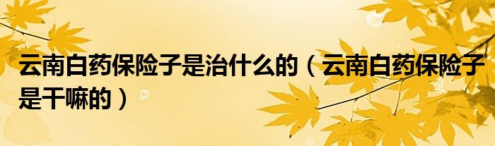 云南白药保险子是干嘛的(云南白药保险子是治什么的)
