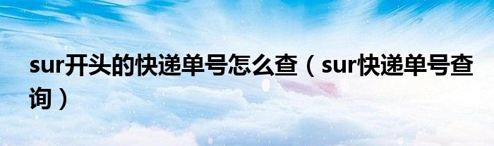 sur快递单号查询(sur开头的快递单号怎么查)