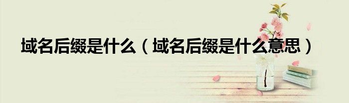 域名后缀是什么意思(域名后缀是什么)