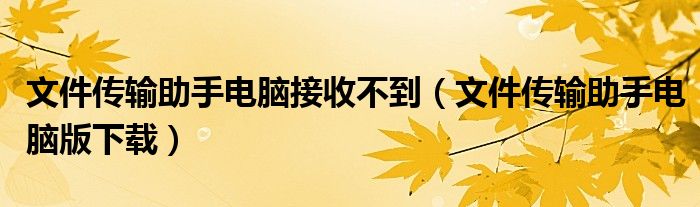 文件传输助手电脑版下载(文件传输助手电脑接收不到)