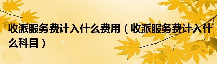 收派服务费计入什么科目(收派服务费计入什么费用)