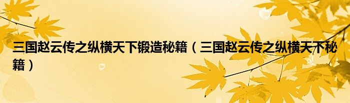 三国赵云传之纵横天下秘籍(三国赵云传之纵横天下锻造秘籍)