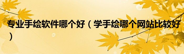 学手绘哪个网站比较好(专业手绘软件哪个好)