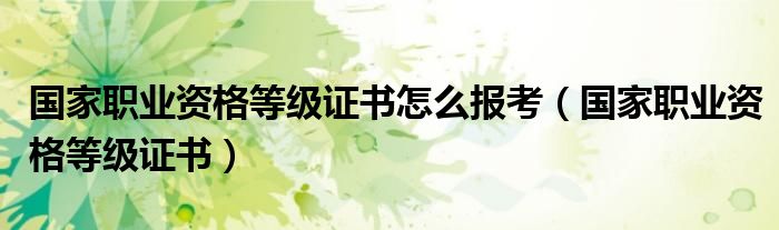 国家职业资格等级证书(国家职业资格等级证书怎么报考)