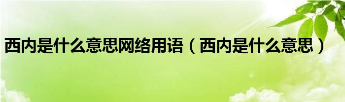 西内是什么意思(西内是什么意思网络用语)