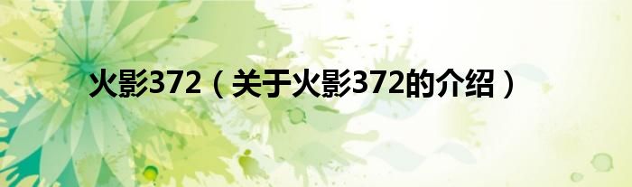 关于火影372的介绍(火影372)