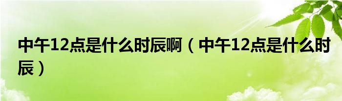 中午12点是什么时辰(中午12点是什么时辰啊)