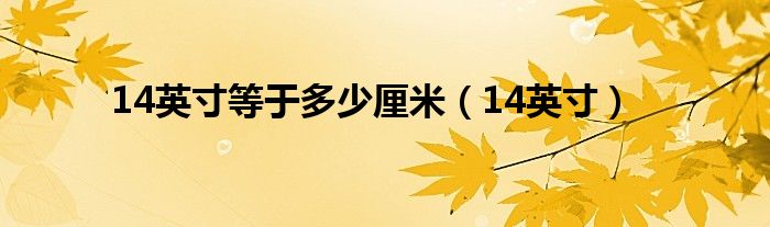 14英寸(14英寸等于多少厘米)