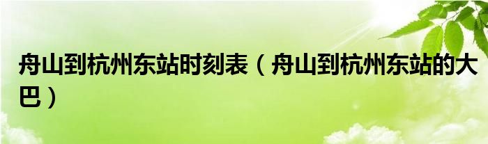 舟山到杭州东站的大巴(舟山到杭州东站时刻表)