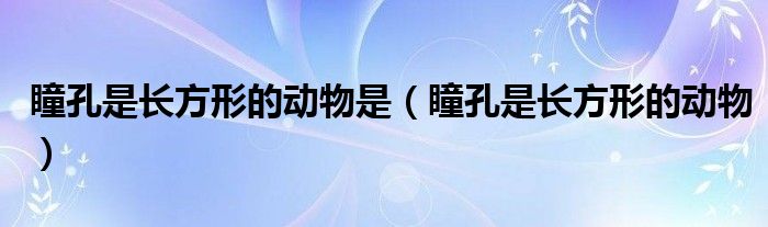 瞳孔是长方形的动物(瞳孔是长方形的动物是)