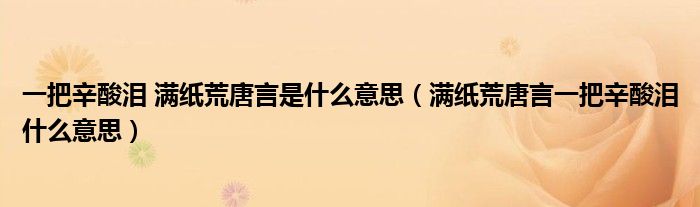 满纸荒唐言一把辛酸泪什么意思(一把辛酸泪 满纸荒唐言是什么意思)