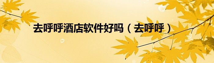 去呼呼(去呼呼酒店软件好吗)