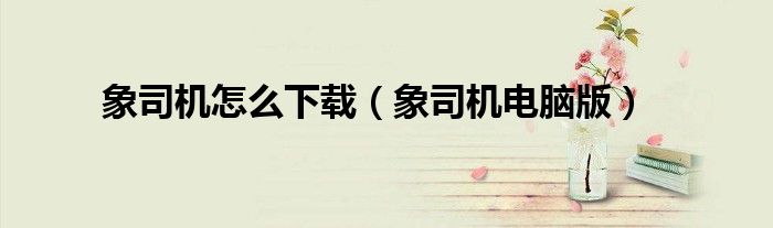 象司机电脑版(象司机怎么下载)