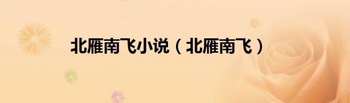 北雁南飞(北雁南飞小说)