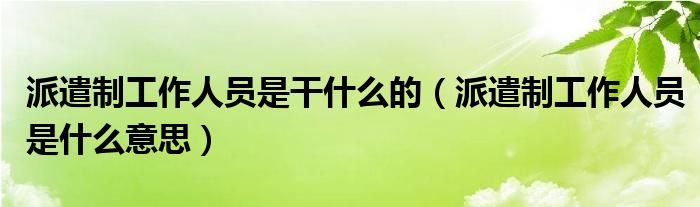 派遣制工作人员是什么意思(派遣制工作人员是干什么的)