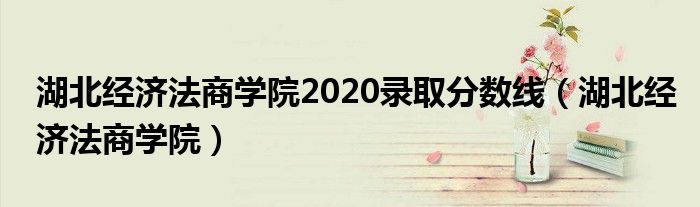 湖北经济法商学院(湖北经济法商学院2020录取分数线)