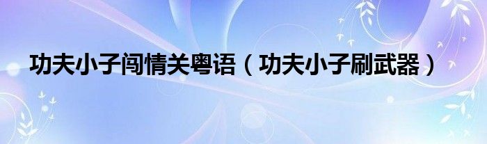 功夫小子刷武器(功夫小子闯情关粤语)