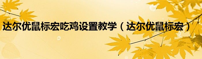 达尔优鼠标宏(达尔优鼠标宏吃鸡设置教学)