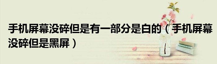 手机屏幕没碎但是黑屏(手机屏幕没碎但是有一部分是白的)