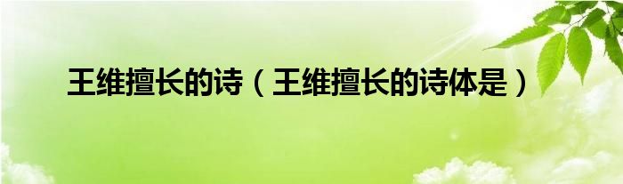 王维擅长的诗体是(王维擅长的诗)
