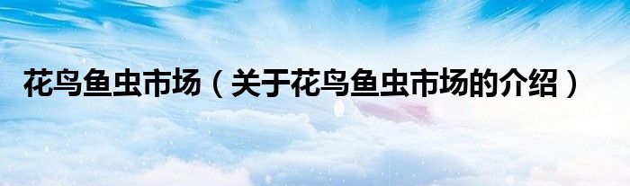 关于花鸟鱼虫市场的介绍(花鸟鱼虫市场)