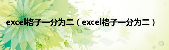 excel格子一分为二(excel格子一分为二)