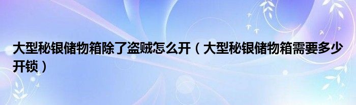 大型秘银储物箱需要多少开锁(大型秘银储物箱除了盗贼怎么开)