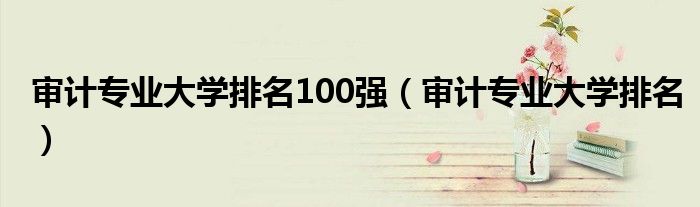 审计专业大学排名(审计专业大学排名100强)