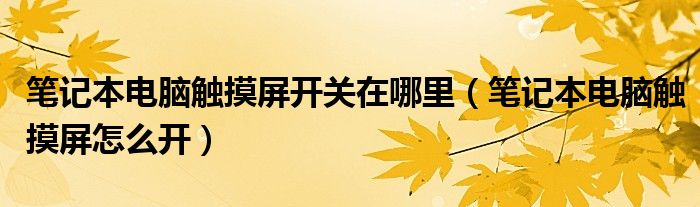 笔记本电脑触摸屏怎么开(笔记本电脑触摸屏开关在哪里)